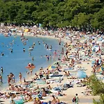 Soline